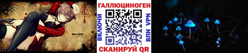 Галлюциногенные грибы Psilocybe  Ейск 