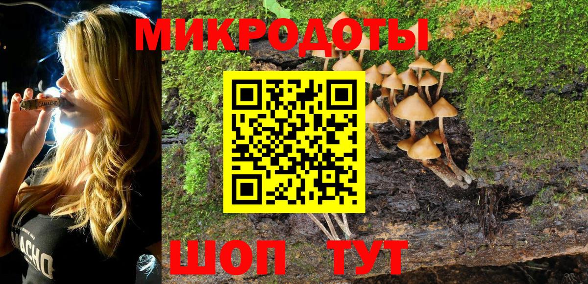 где купить наркотик  Ейск  Галлюциногенные грибы Psilocybe 