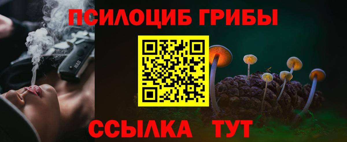 Ейск  Галлюциногенные грибы Psilocybine cubensis  Галлюциногенные грибы Magic Shrooms  Вход с VPN 