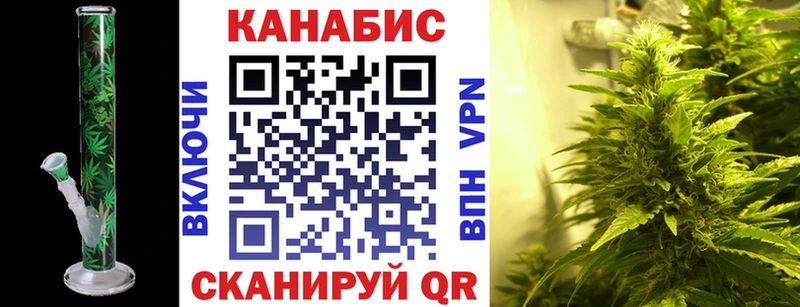 Каннабис сатива  Ейск 